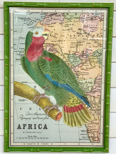 Print of Parrot in Green Bamboo Frame