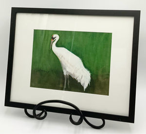 Framed Signed Oil of Whooping Crane