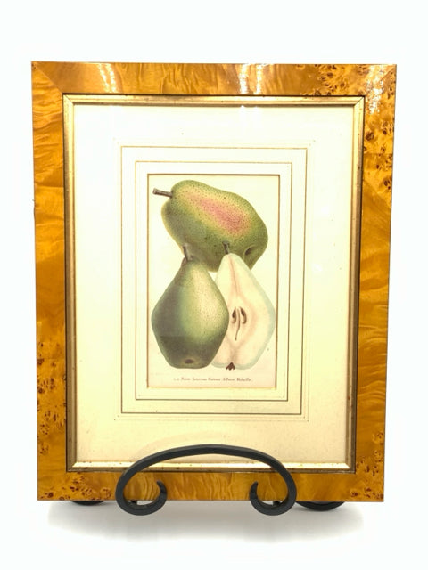 Framed Engraving of Pears in Burled Wood Frame