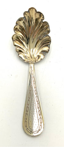 Antique French Silverplate Tea Caddy Spoon